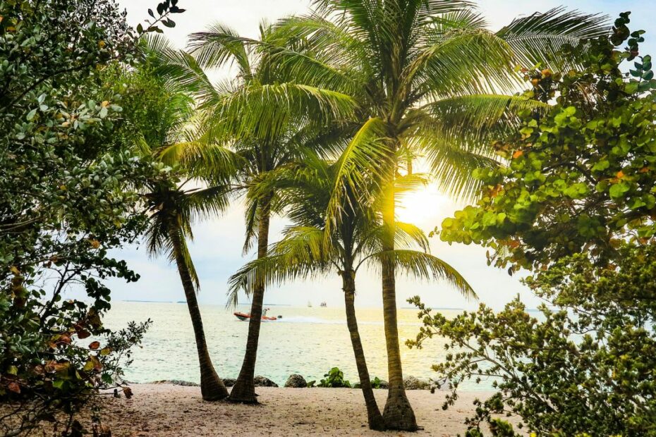 Exploring Florida's "Other" Coast: 12 Hidden Gems You Won't Find in Miami - Idyllic Pursuit