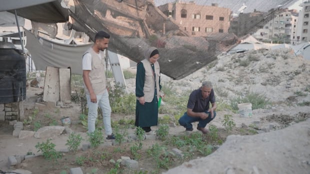 From gardens in rubble to doctors going without good, Gazans are desperate to survive as famine takes hold | CBC News