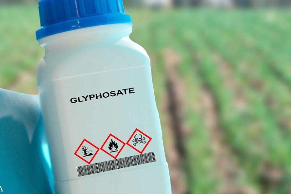 Glyphosate Exposure Linked to Fatty Liver Disease