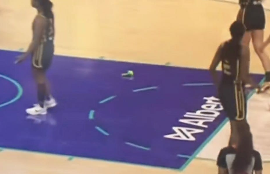 Hey Woman, Can't You Take A (Trumpy Crypto-Bros Throwing Dildos At WNBA Players) Prank?