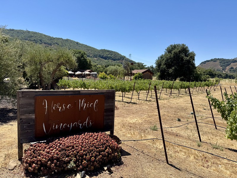 Horse Thief Vineyards
