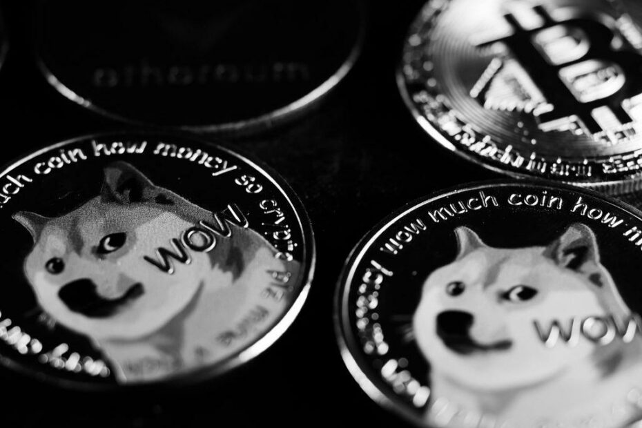 DOGE Coin WOW black and white
