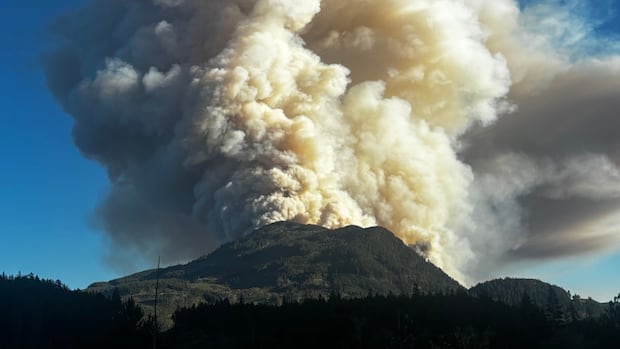 'Massive' wildfire south of Port Alberni doubles in size in less than a day | CBC News