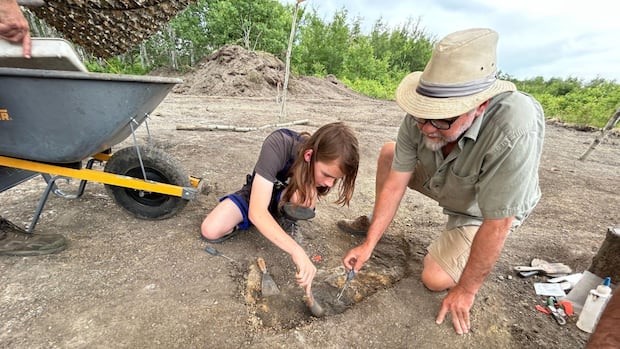 Meet 'Walt,' the 80-million-year-old mosasaur named after the Texas teen who dug it up on the Canadian Prairie | CBC News