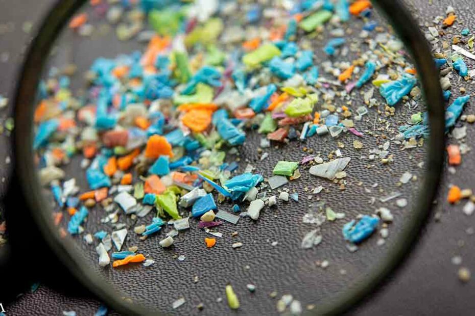 Microplastics Trigger Mitochondrial Stress in Liver Cells