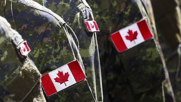 Military's hateful conduct reports spiked in 2024 after years of steady decline | CBC News