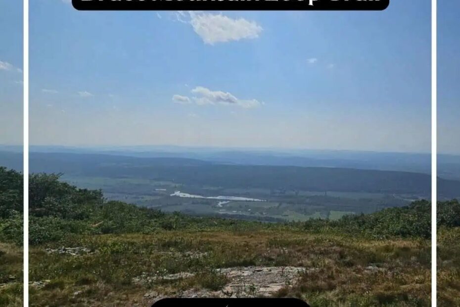 Mount Frissell and Brace Mountain Loop Trail: When Friday Computer Work Turns Into a Connecticut Tri-State Adventure