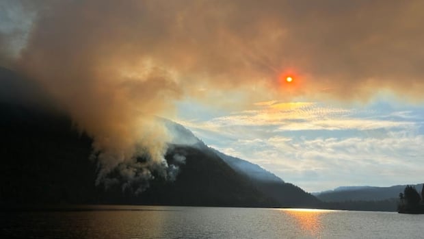 Number of active wildfires in B.C. doubles in 24 hours as thousands of lightning strikes recorded | CBC News