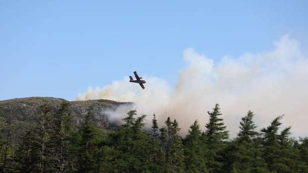 Police investigating wildfires as evacuation orders expand across Conception Bay | CBC News
