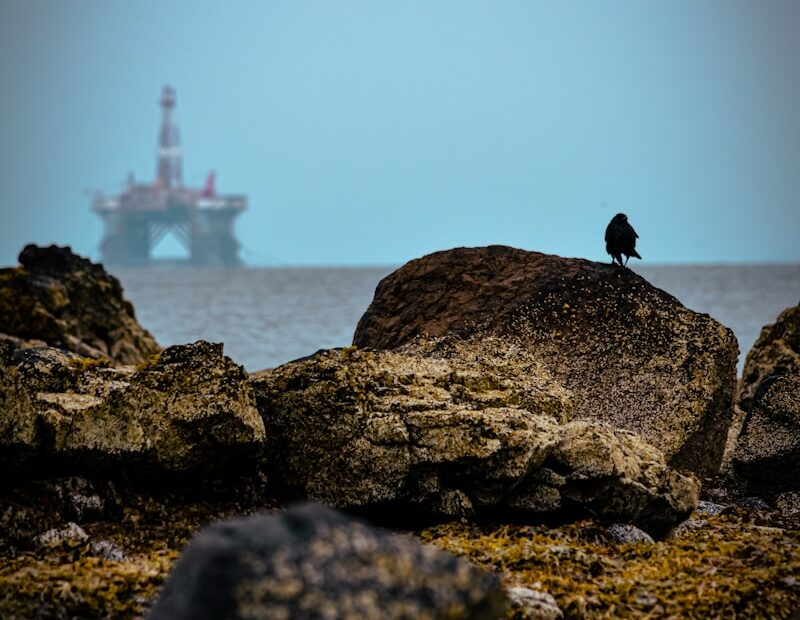 Sanjoy Sen: Was ‘The Donald’ right about the North Sea? | Conservative Home