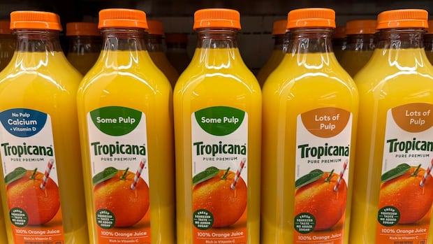 U.S. orange juice shipments plummet as Canadians find Florida OJ hard to swallow | CBC News