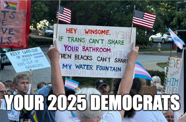 Virginia Democrat Party Vice Chair: 'It's Winsome Sears' Fault That We're So Racist'