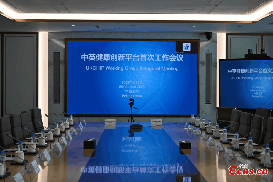 'We have converted this ambition into a reality,' UK representatives praise opportunities in China