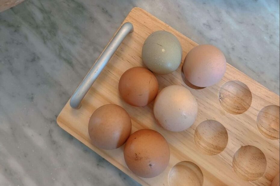 What I Eat In A Day and The Bowl of Meat I Keep Talking About | The Skinny Confidential