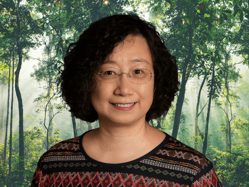 Dr Furong Tian headshot against a green background with trees.