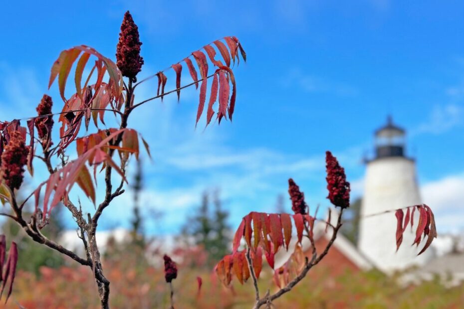 10 Peaceful Corners of Maine That Capture New England’s Spirit - Idyllic Pursuit