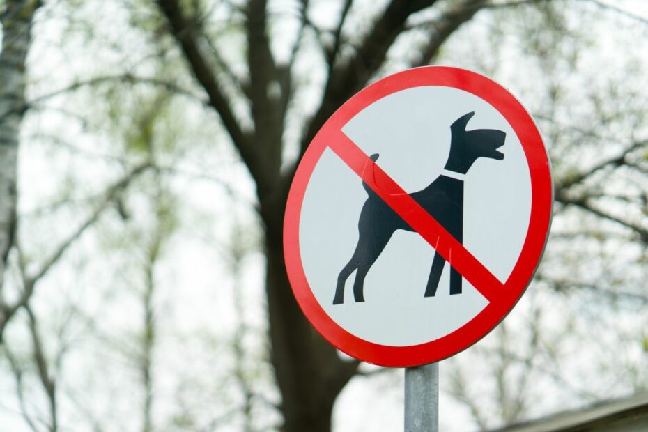 10 Places in the U.S. That Ban Dogs Entirely - Idyllic Pursuit