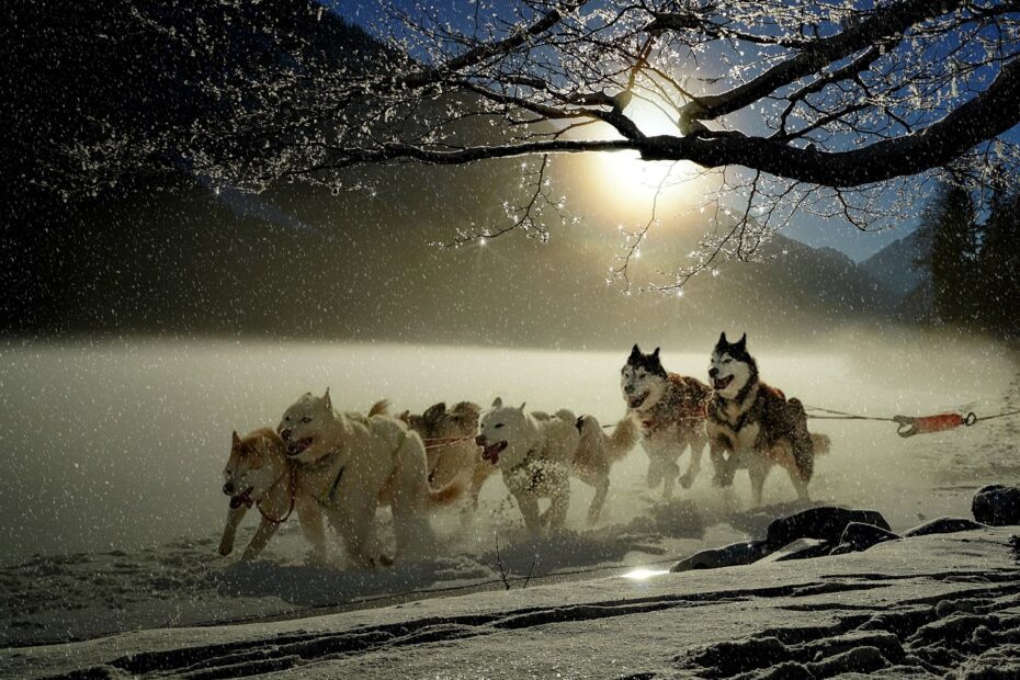 12 Reasons Alaska Still Feels Like America’s Last Frontier - Idyllic Pursuit