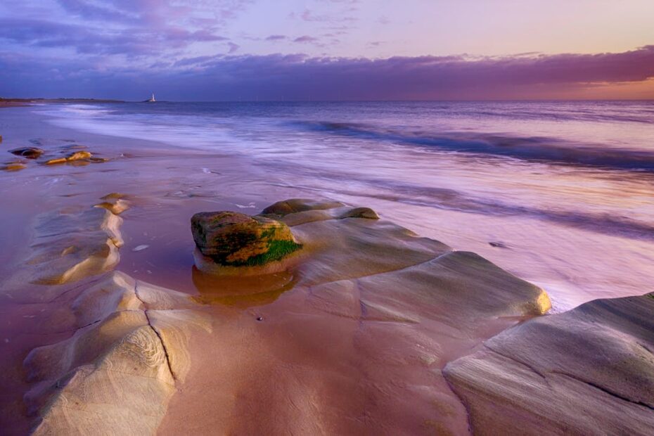 9 Places To See Bioluminescence Without Leaving Shore - Idyllic Pursuit