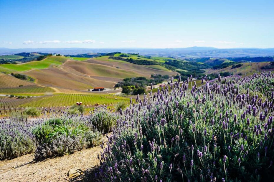 9 Underrated U.S. Wine Regions Without the Napa Prices - Idyllic Pursuit