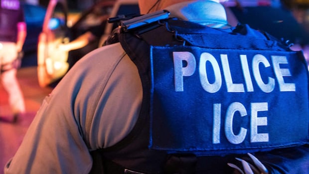 ANALYSIS | Trump says ICE is going after criminal migrants. Here's what the data shows | CBC News