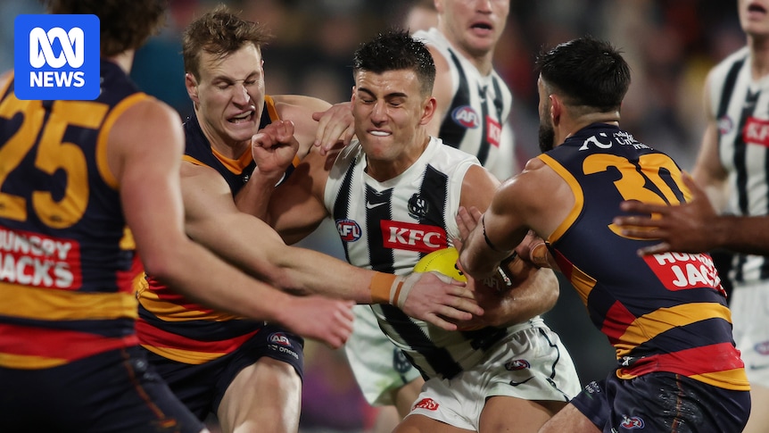 Adelaide's AFL finals drought is over, and defence has them set for success