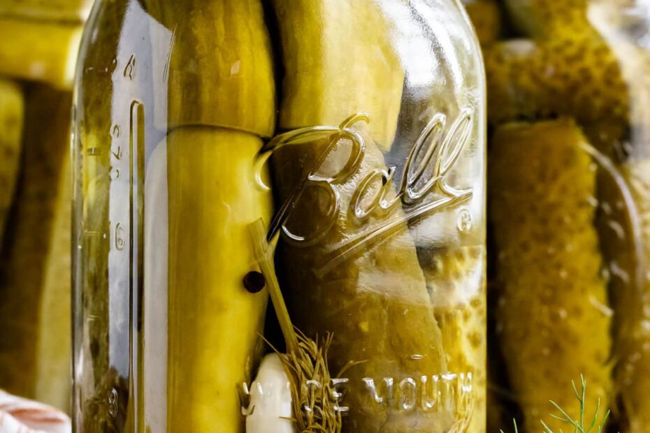 Easy Homemade Dill Pickles - Olga in the Kitchen