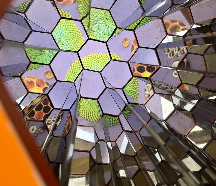Exploring the Children’s Discovery Museum of San Jose: A Family Day of Play and Learning - California Travel