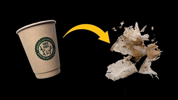Here's what happens when 'compostable' products become litter | CBC News