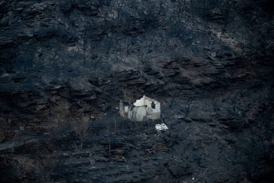 How Europe lost an area the size of Cyprus to wildfires this year