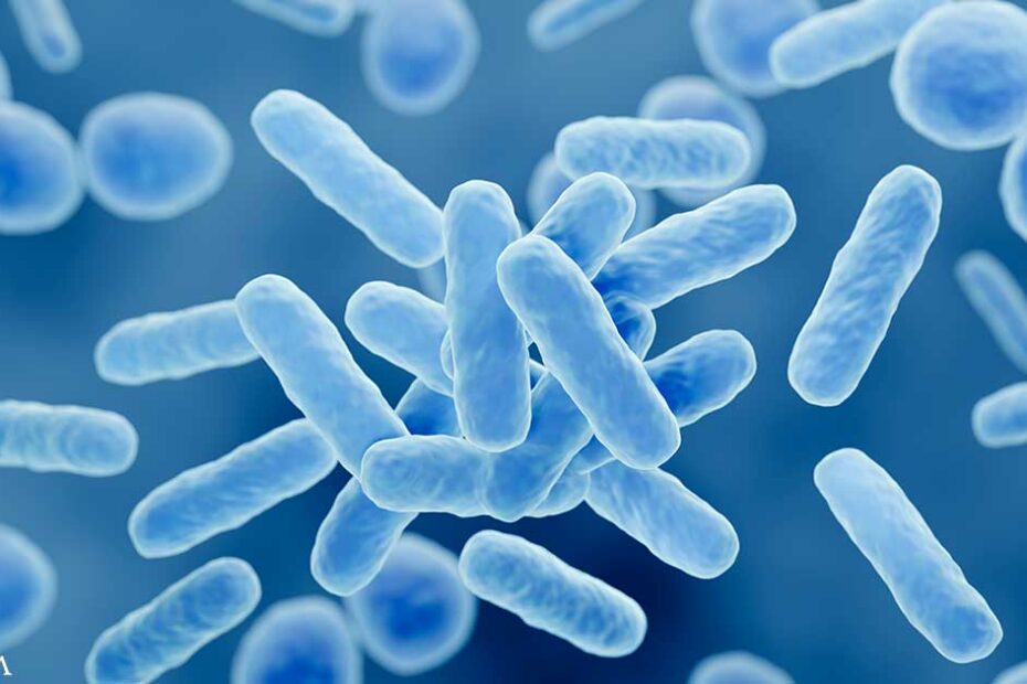 How Probiotics Support Restful Sleep and Lift Mood