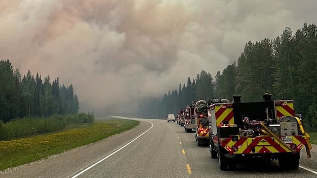 How many wildfires are started by arson? Your questions, answered | CBC News