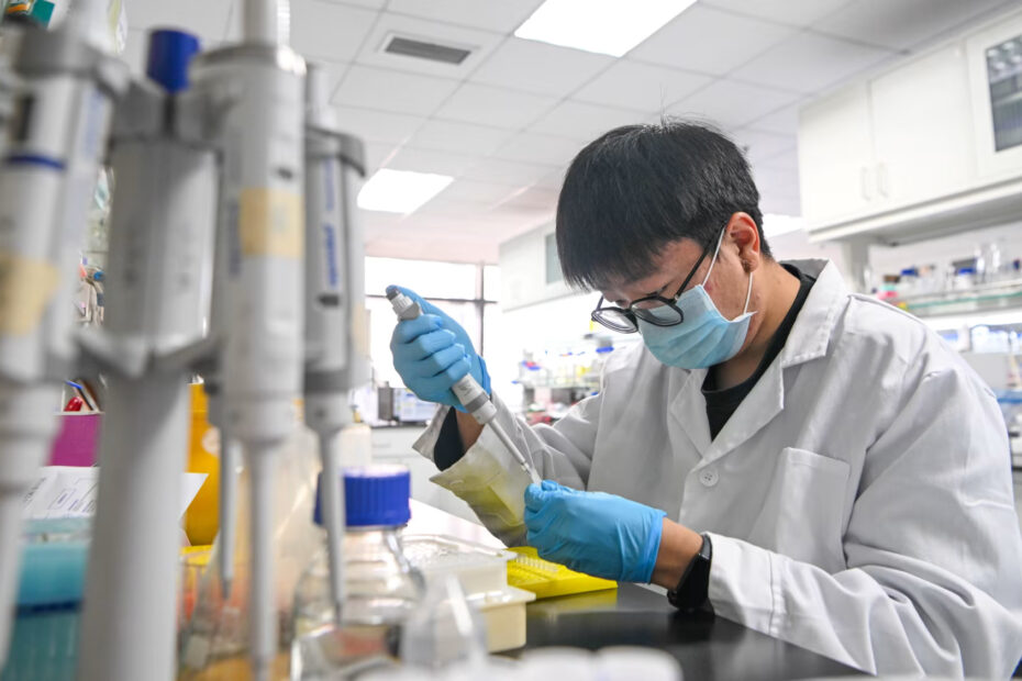 In the race to attract the world’s smartest minds, China is gaining on the US - Egypt Independent