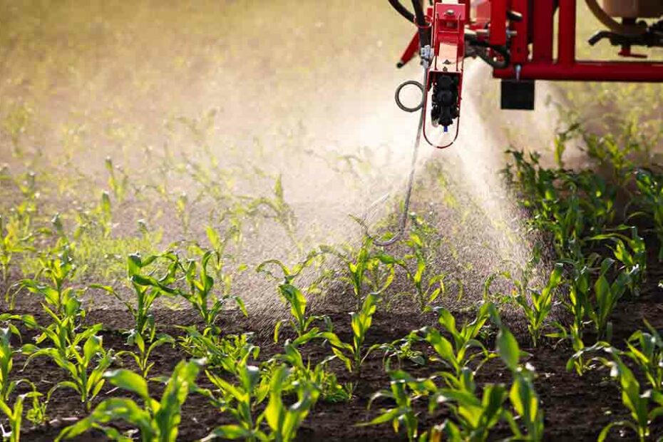 Pesticides Alter Gut Bacteria, Driving Inflammation