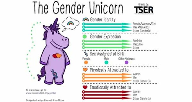 Prof Teaching Transgenderism Unimpressed By Efforts to Stop Her From Teaching the ‘Biological Truth’