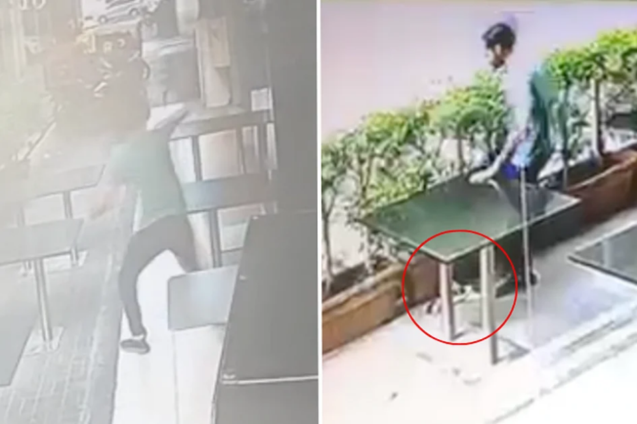 Sharjah: Man caught on CCTV abusing cats after kittens found dead