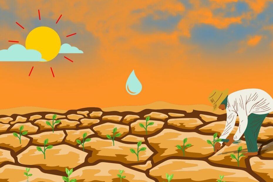 Shifting kharif crops into summer: A betrayal of water sustainability