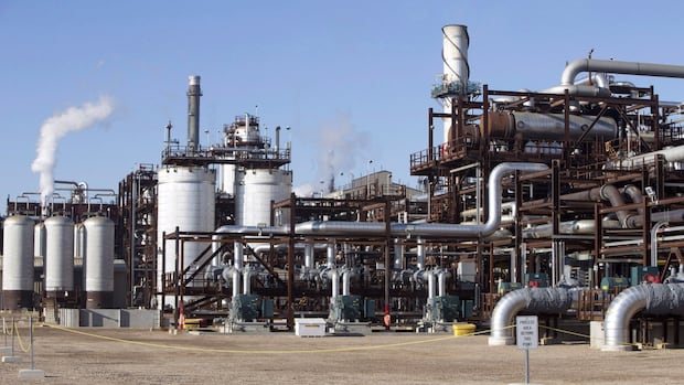 Storing carbon underground? There's less room than we thought, new study suggests | CBC News