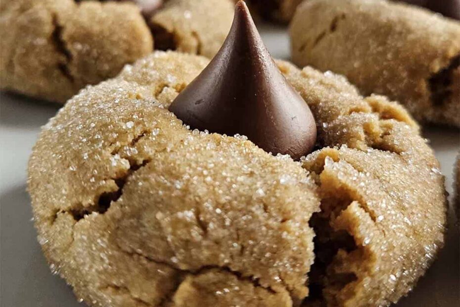 Peanut butter blossom cookie on a white plate.