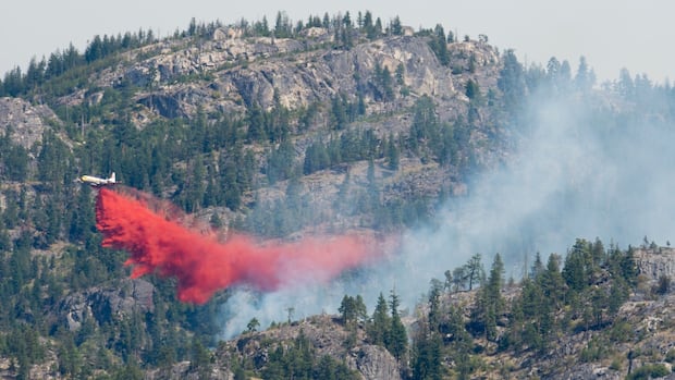 This red retardant is crucial in the fight against wildfires. But is it also harming the environment? | CBC News