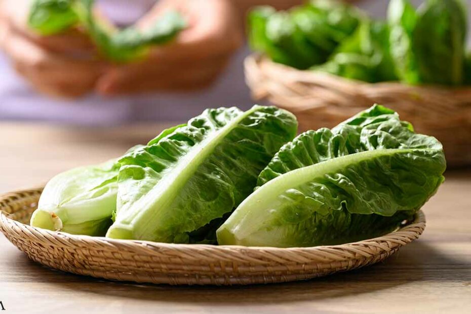 Why Is Romaine Lettuce So Often Linked to E. Coli Outbreaks?