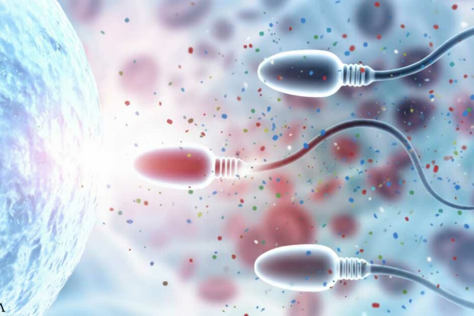 Your Reproductive Fluids Are Polluted with Microplastics
