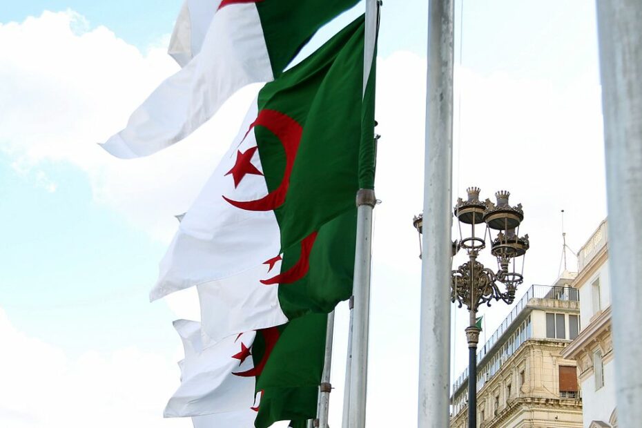 ‘Biggest crisis since independence’: What next for France and Algeria?