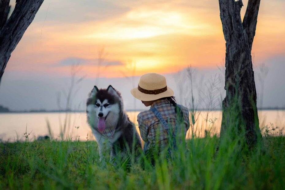 10 Pet-Friendly Getaways That Actually Feel Luxurious - Author Kathy Haan