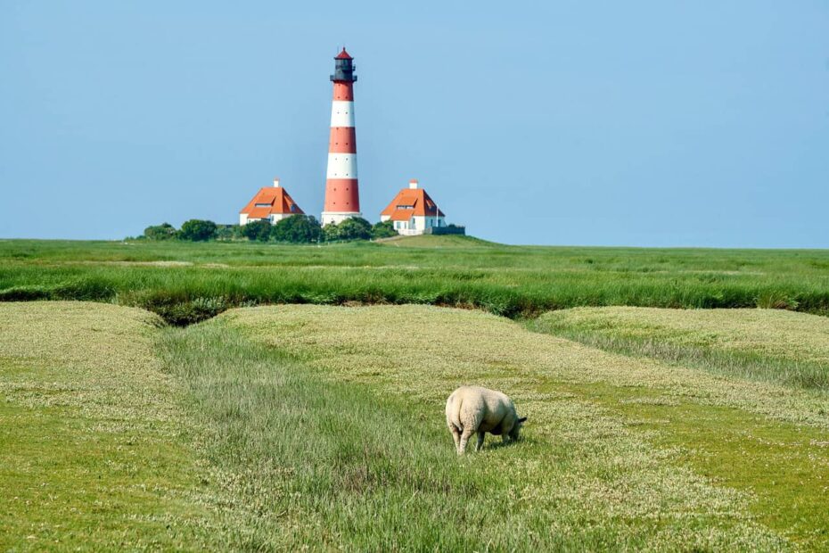 11 Lighthouse Towns Where the Fog Horn Still Calls the Day - Author Kathy Haan