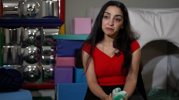 Abduction charge filed against father of N.L. girl taken to Egypt despite court order | CBC Embedded-Only