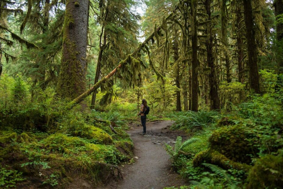America’s 11 Most Confusing Forest Trails - Author Kathy Haan