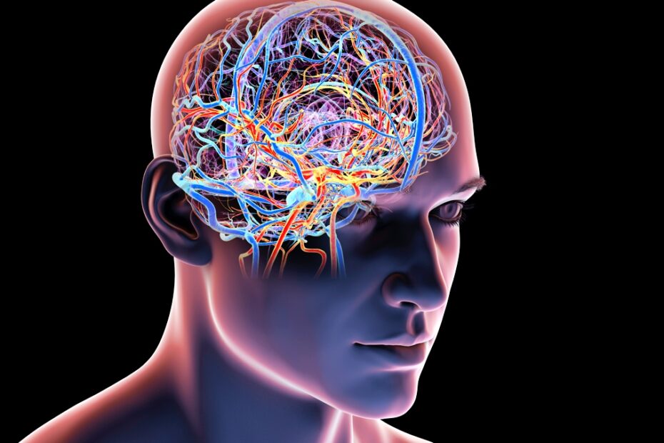 An Expert Reveals How to Keep Your Brain Sharp as You Age