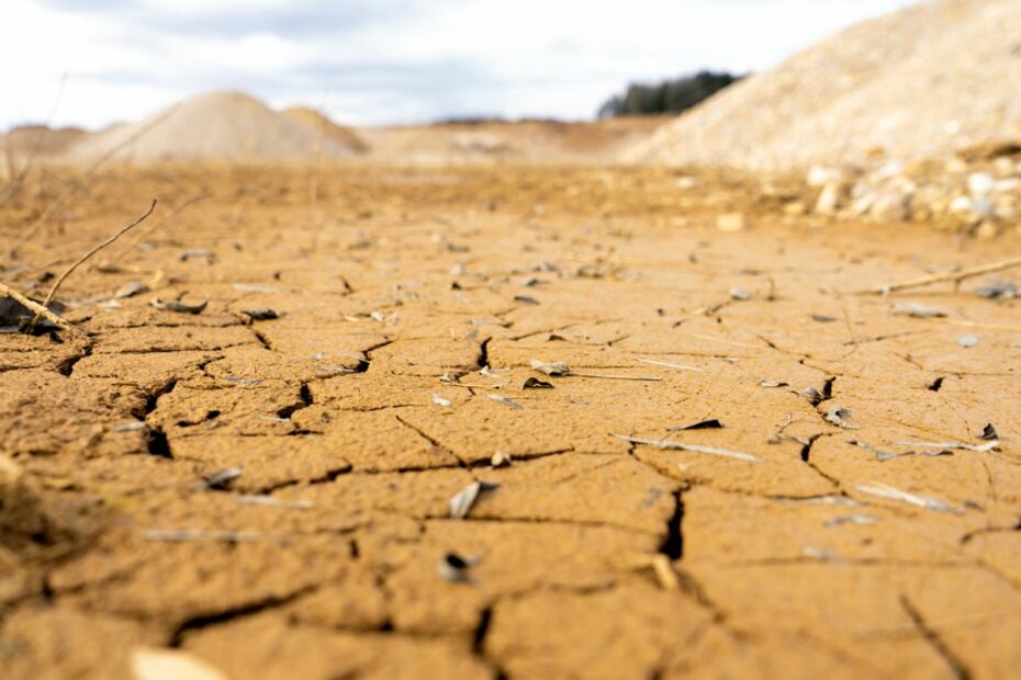 Discover Magazine Logo