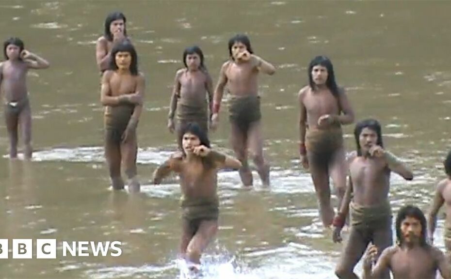 'Brothers in the forest' - the fight to protect an isolated Amazon tribe